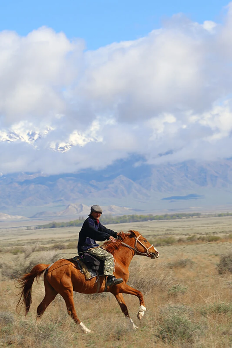 A horseman riding across the Altyn-Emel steppe with snow-capped mountains in the distance